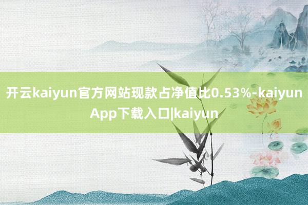 开云kaiyun官方网站现款占净值比0.53%-kaiyunApp下载入口|kaiyun