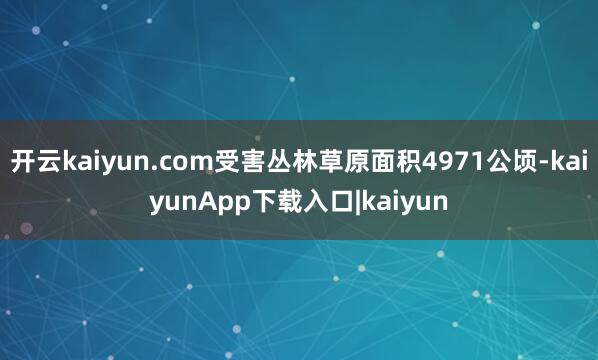 开云kaiyun.com受害丛林草原面积4971公顷-kaiyunApp下载入口|kaiyun